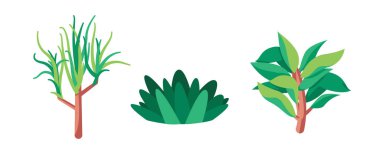 Yaprak ve yaprak ile yeşile boyanmış bitki illüstrasyon vektörü