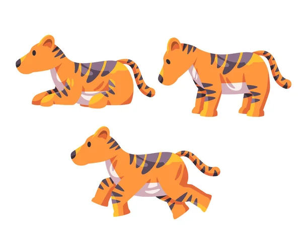 Tigre Despojado África Lindo Vector Diseño Ilustración Conjunto Colección Rey — Vector de stock