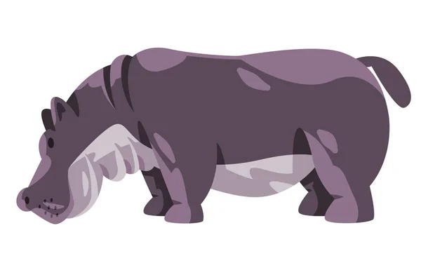 Hipopotama Hipopotama Amphibius Duży Szary Afrykański Wektor Zwierząt Ilustracja Stylu — Wektor stockowy