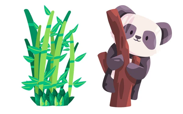 Ours Chinois Panda Dans Forêt Arbres Bambous Comme Vecteur Habitat — Image vectorielle