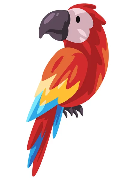 Papegoja Fågel Färgglada Bedårande Cacatua Exotisk Söt Vänlig Makaw Djur — Stock vektor