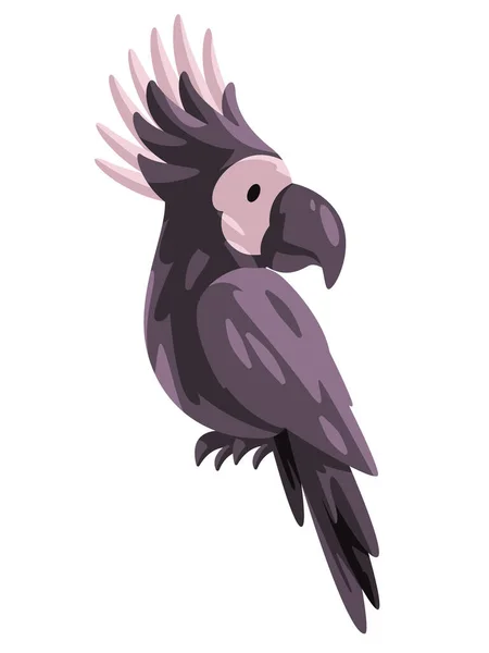 Cacatua Oiseau Perroquet Foncé Avec Tête Noire Animal Vecteur Illustration — Image vectorielle