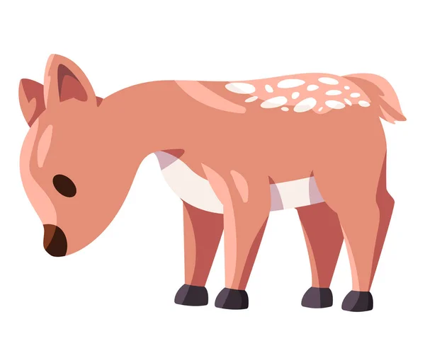 Bambi Schattige Baby Hert Bruine Kleur Schattig Jong Dier Vector — Stockvector
