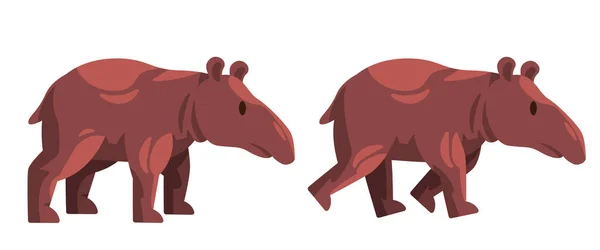 Tapir Tapiridae Spacerujących Dużych Ssaków Roślinożernych Nosa Ilustracja Pnia — Wektor stockowy