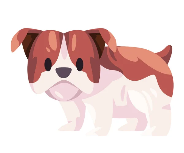 Bulldog Welp Pup Zittende Vector Illustratie Grafisch Vriendelijk Huisdier Bruin — Stockvector