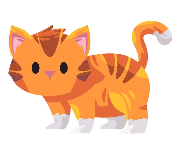 Cat Kitten Orange Stripped Cute Adorable Standing Vector Cartoon Illustration — Stock Vector