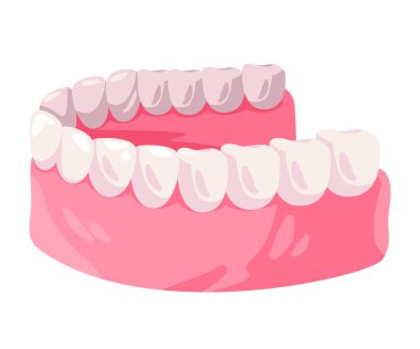 Diş eti ve diş eti ortodontik alt çene vektörü resimleme