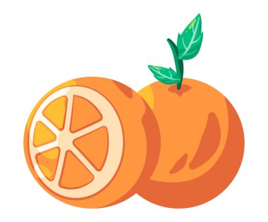 Turuncu meyve yuvarlak ve dilimlenmiş taze vektör çizimi