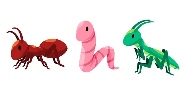 アリのワームと祈りのカマキリベクトル描画イラストセットの昆虫の小さな動物の漫画スタイルのキャラクター — ストックベクタ