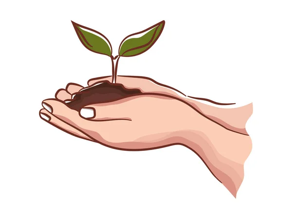 Hand Halten Saatgut Pflanzen Erhaltung Umweltschutz Vektor — Stockvektor