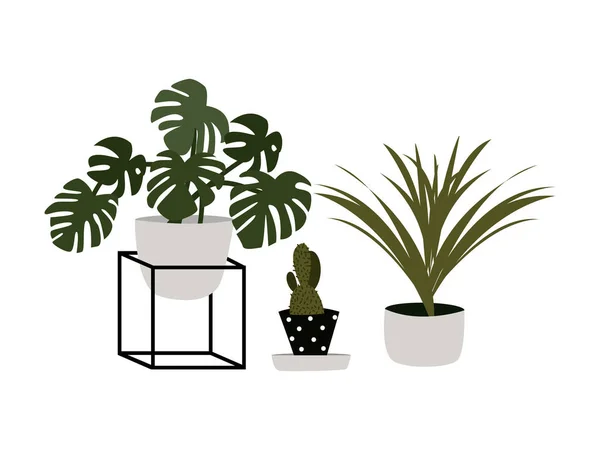 Plante Pot Nature Feuillage Décoration Maison Feuilles Persistantes Respectueux Environnement — Image vectorielle