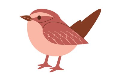 Arizona 'dan gelen kaktüs çalıkuşu Amerika Birleşik Devletleri' nden küçük vahşi kahverengi vektör çizimi