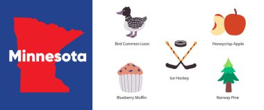 Minnesota 'da yaygın olarak kullanılan karabatak yaban mersinli kek, buz hokeyi, Norveç çam illüstrasyon vektörü simgesi