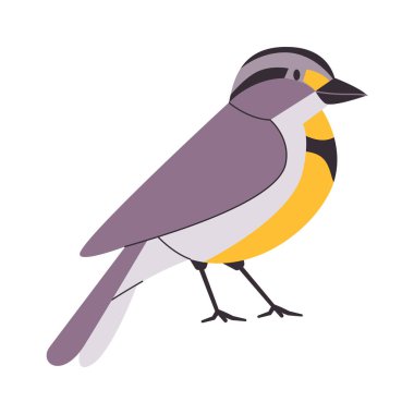 Sarı ve siyah renkli batı çayır kuşları. Kuzey Amerika 'da yaşayan küçük vahşi hayvan ötücü kuşları.