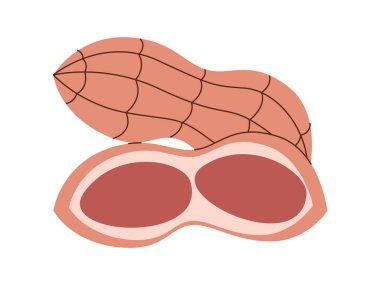 Açık fındık ezmeli kuru atıştırmalık tuzlu sağlıklı beslenme doğal organik tohum vejetaryen yemek vektörü