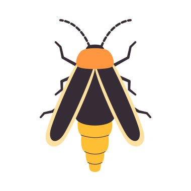 Sarı renk ateş böceği vahşi doğa böceği küçük hayvan kanadı parlayan parlak bir vektörle açık havada uçar.