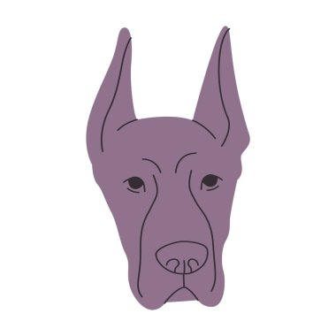 Gri saç, Danua av köpeği. Memeli hayvan yetiştiriyor. Alman vektöründen sevimli sevimli sevimli bir hayvan.