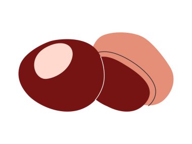 Buckeye tohumu vahşi doğa organik botanik. Terapi için zehirli ceviz.