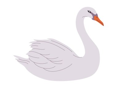 Beyaz renkli dilsiz kuğu vahşi hayvan gagası ve güzel tüy vektörüyle uzun boynu vardır.