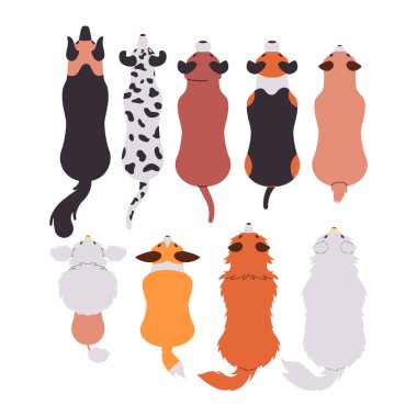 çeşitli cins köpek şirin tapılası safkan hayvan evcil hayvan memeli vahşi hayvan vektörü