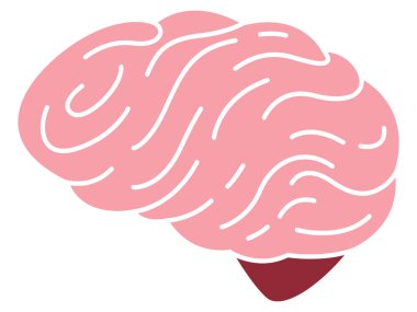 Beyin zihni insan organı renkli versiyon anatomi bilim biyolojisi eğitim tasarım vektörü