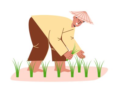 Çeltik pirinç ekimi geleneksel çiftçilik şapka takarak düz çizim karikatür tarımsal faaliyetler alan vektörü