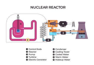 Enerji üretimi için çekirdekten soğutma kulesine basınçlı su nükleer enerji reaktörünün bileşenlerini ve operasyonel akışını gösteren etiketli diyagram