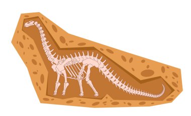 Uzun boyunlu Sauropod dinozor fosili kahverengi bir kaya formasyonunda büyük bir otobur uzun boyun ve kuyruk antik yaratıklarla ayakta duruyor.