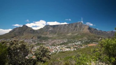 Masa Dağı, Cape Town, Batı Cape, Güney Afrika 'da, ön planda, şehir arka planda olmak üzere yerli bir bitki türü olan fynbos üzerinde zaman kaybı..