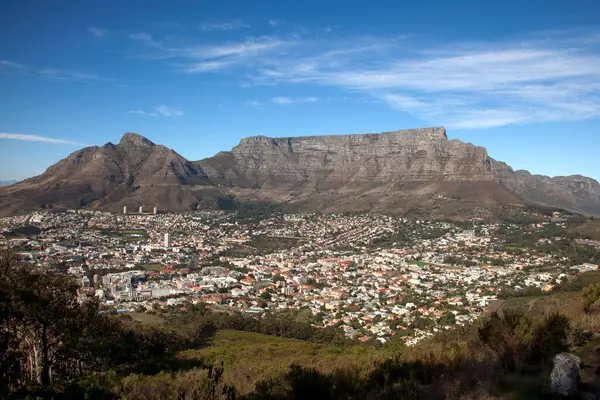 Cbd Кейптауна Городской Район Вид Хемсворта Западный Кейп Южная Африка Стоковое Изображение