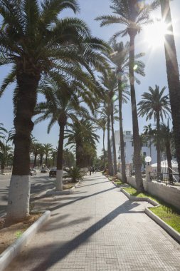 Trablus, Libya, 4 Kasım 2009. Libya, Trablus 'un ana caddelerinden birinde bir adam kaldırımda yürüyor. Güneş arkadan doğuyor..