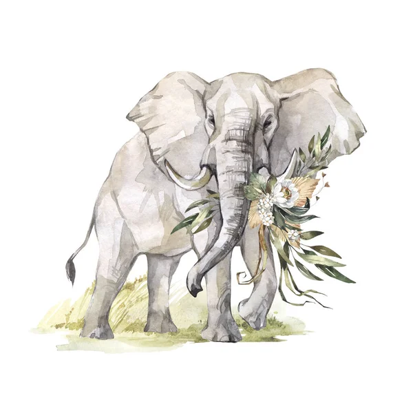 Elefante Aquarela Com Flores Grama Clipart Africano Animlas Ilustração Natureza — Fotografia de Stock