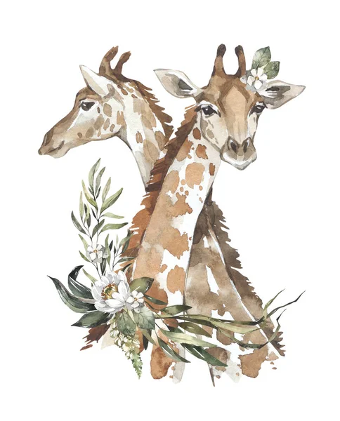 花とかわいいキリンの水彩カップル アフリカの動物が飛び立つ 子供製品の動物園のイラスト 世界の動物や植物 手描きの天然記念物動物ドライブーケ Print — ストック写真
