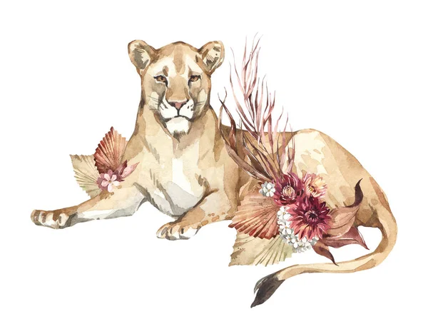 Watercolor Lioness Boho Flowers African Animlas Clipart World Zoo Nature — Stock Photo, Image
