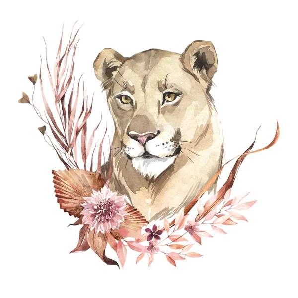 Watercolor Lioness Portrait Flowers African Animlas Clipart World Zoo Nature — Stock Photo, Image