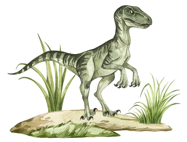 先史時代の風景と水彩恐竜のイラスト 手は草で砂の上にVelociraptorを描きました 子供用製品のための詳細なディノクリップ 古代動物の百科事典 — ストック写真