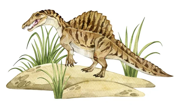 Watercolor Dinosaur Illustration Prehistoric Landscape Hand Drawn Spinosaurus Sand Grass Stock Image
