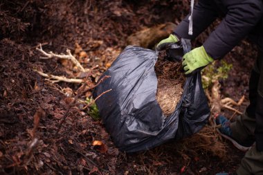 İnsan gübrelemek için plastik torbadan yeşil atık atar.