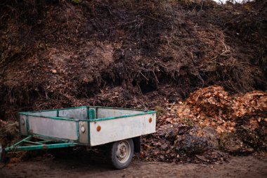 Collecting green waste for composting at the city landfill clipart