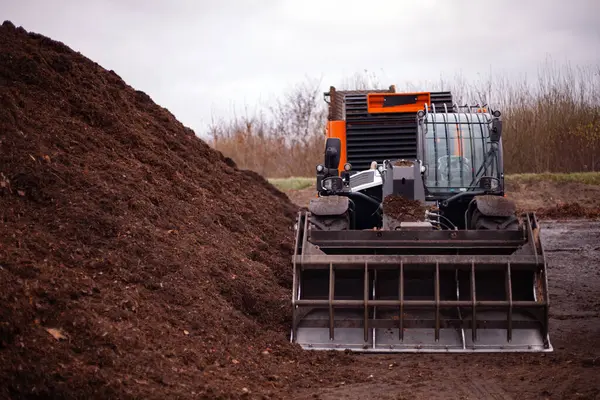 Vaşak, şehir çöplüğünde gübre depolamak için yeşil atık topluyor