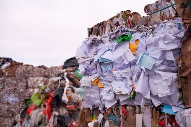 Vilnius 'taki çöplükte kağıt işlerini halletti.