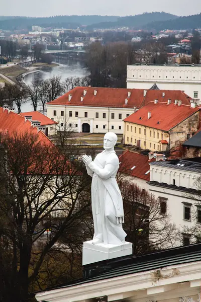 Katedral 'deki heykellerin saat kulesinden, Neris Nehri' nden ve Litvanya, Vilnius 'un merkezindeki binaların kiremitli çatılarından görüntüyü al. 