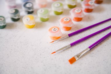 Resim için rakamlar, fırçalar, üzerinde numaralar olan küçük boya kapları ve önceden çizilmiş dış hatları olan bir tuval.