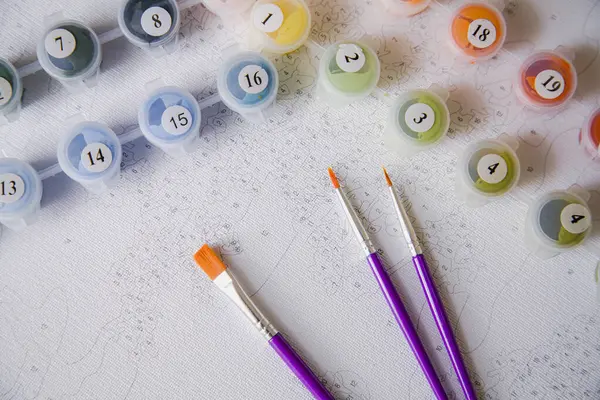 Resim için rakamlar, fırçalar, üzerinde numaralar olan küçük boya kapları ve önceden çizilmiş dış hatları olan bir tuval.