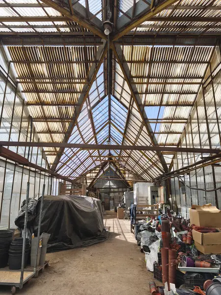 Tarihi bir serada camdan yapılmış detaylı geometrik tavan ışıkla yıkanmış.