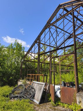Eski bir seranın paslı metal iskeleti ormanda tek başına duruyor.