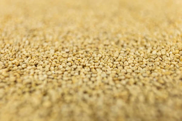 quinoa background. nutrition. food ingredient. shallow depth of field.