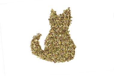 Catnip herb in latin - Nepeta cataria in the shape of a sitting cat isolated on white background. Medicinal herb. 