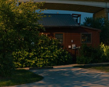 Yeşilliklerle çevrili bir evin dikey çekimi.