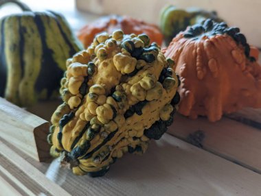 Ahşap masadaki dekoratif balkabaklarının yakın plan fotoğrafı.